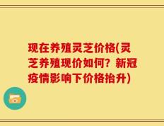 现在养殖灵芝价格(灵芝养殖现价如何？新冠疫情影响下价格抬升)