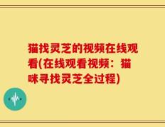 猫找灵芝的视频在线观看(在线观看视频：猫咪寻找灵芝全过程)