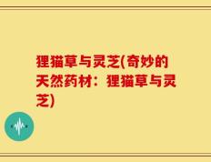 狸猫草与灵芝(奇妙的天然药材：狸猫草与灵芝)