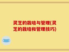 灵芝的栽培与管理(灵芝的栽培和管理技巧)