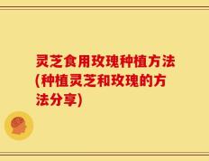灵芝食用玫瑰种植方法(种植灵芝和玫瑰的方法分享)