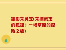 狐影采灵芝(采摘灵芝的狐狸：一场草原的探险之旅)