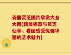 瓷器灵芝图片欣赏大全大图(精美瓷器与灵芝仙草，看图感受优雅华丽的艺术魅力)