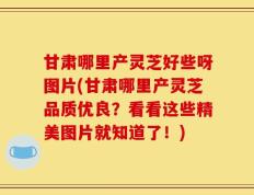 甘肃哪里产灵芝好些呀图片(甘肃哪里产灵芝品质优良？看看这些精美图片就知道了！)
