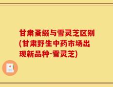 甘肃蚤缀与雪灵芝区别(甘肃野生中药市场出现新品种-雪灵芝)
