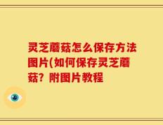 灵芝蘑菇怎么保存方法图片(如何保存灵芝蘑菇？附图片教程