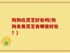 狗狗吃灵芝好处吗(狗狗食用灵芝有哪些好处？)