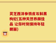 灵芝西洋参铁皮石斛黑枸杞(五种天然养颜佳品 让你时刻保持年轻靓丽)