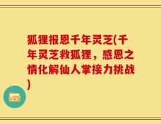 狐狸报恩千年灵芝(千年灵芝救狐狸，感恩之情化解仙人掌接力挑战)