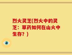 烈火灵芝(烈火中的灵芝：草药如何在山火中生存？)