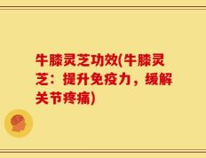 牛膝灵芝功效(牛膝灵芝：提升免疫力，缓解关节疼痛)