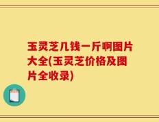 玉灵芝几钱一斤啊图片大全(玉灵芝价格及图片全收录)