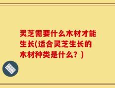 灵芝需要什么木材才能生长(适合灵芝生长的木材种类是什么？)