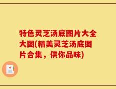 特色灵芝汤底图片大全大图(精美灵芝汤底图片合集，供你品味)