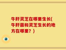 牛肝灵芝在哪里生长(牛肝菌和灵芝生长的地方在哪里？)
