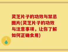 灵芝片子的功效与禁忌图片(灵芝片子的功效与注意事项，让你了解如何正确食用)