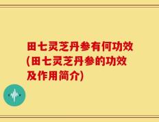 田七灵芝丹参有何功效(田七灵芝丹参的功效及作用简介)