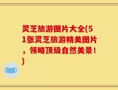 灵芝旅游图片大全(51张灵芝旅游精美图片，领略顶级自然美景！)