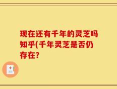 现在还有千年的灵芝吗知乎(千年灵芝是否仍存在？