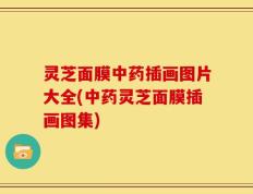 灵芝面膜中药插画图片大全(中药灵芝面膜插画图集)
