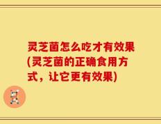 灵芝菌怎么吃才有效果(灵芝菌的正确食用方式，让它更有效果)