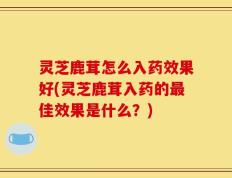 灵芝鹿茸怎么入药效果好(灵芝鹿茸入药的最佳效果是什么？)