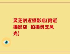 灵芝附近摄影店(附近摄影店  拍摄灵芝风光)