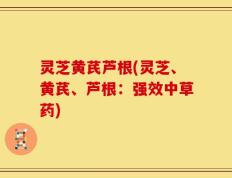 灵芝黄芪芦根(灵芝、黄芪、芦根：强效中草药)