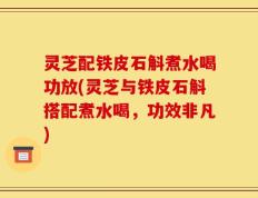 灵芝配铁皮石斛煮水喝功放(灵芝与铁皮石斛搭配煮水喝，功效非凡)