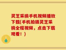 灵芝采摘手机视频播放下载(手机拍摄灵芝采摘全程视频，点击下载观看！)