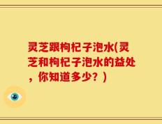 灵芝跟枸杞子泡水(灵芝和枸杞子泡水的益处，你知道多少？)