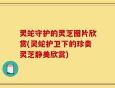 灵蛇守护的灵芝图片欣赏(灵蛇护卫下的珍贵灵芝静美欣赏)