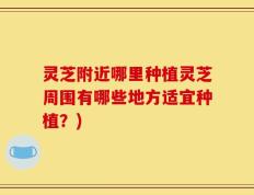 灵芝附近哪里种植灵芝周围有哪些地方适宜种植？)