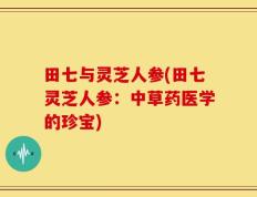 田七与灵芝人参(田七灵芝人参：中草药医学的珍宝)
