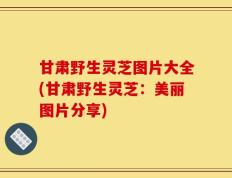 甘肃野生灵芝图片大全(甘肃野生灵芝：美丽图片分享)
