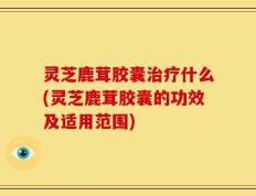 灵芝鹿茸胶囊治疗什么(灵芝鹿茸胶囊的功效及适用范围)
