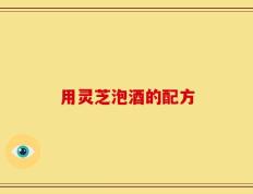 用灵芝泡酒的配方