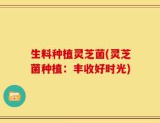 生料种植灵芝菌(灵芝菌种植：丰收好时光)