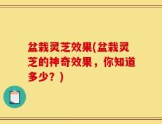 盆栽灵芝效果(盆栽灵芝的神奇效果，你知道多少？)