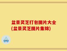盆景灵芝打包图片大全(盆景灵芝图片集锦)