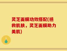 灵芝面膜功效搭配(拯救肌肤，灵芝面膜助力美肌)