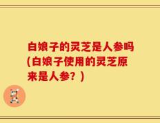 白娘子的灵芝是人参吗(白娘子使用的灵芝原来是人参？)