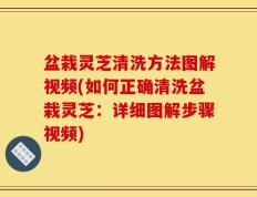 盆栽灵芝清洗方法图解视频(如何正确清洗盆栽灵芝：详细图解步骤视频)