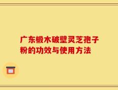 广东椴木破壁灵芝孢子粉的功效与使用方法