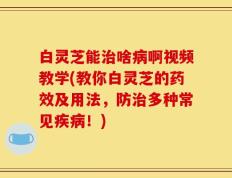 白灵芝能治啥病啊视频教学(教你白灵芝的药效及用法，防治多种常见疾病！)