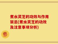 煮水灵芝的功效与作用禁忌(煮水灵芝的功效及注意事项分析)