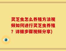灵芝虫怎么养殖方法视频如何进行灵芝虫养殖？详细步骤视频分享)