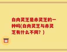 白肉灵芝是赤灵芝的一种吗(白肉灵芝与赤灵芝有什么不同？)