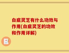 白底灵芝有什么功效与作用(白底灵芝的功效和作用详解)