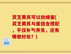 灵芝黄芪可以放蜂蜜(灵芝黄芪与蜜结合搭配，不仅补气养生，还有哪些好处？)
